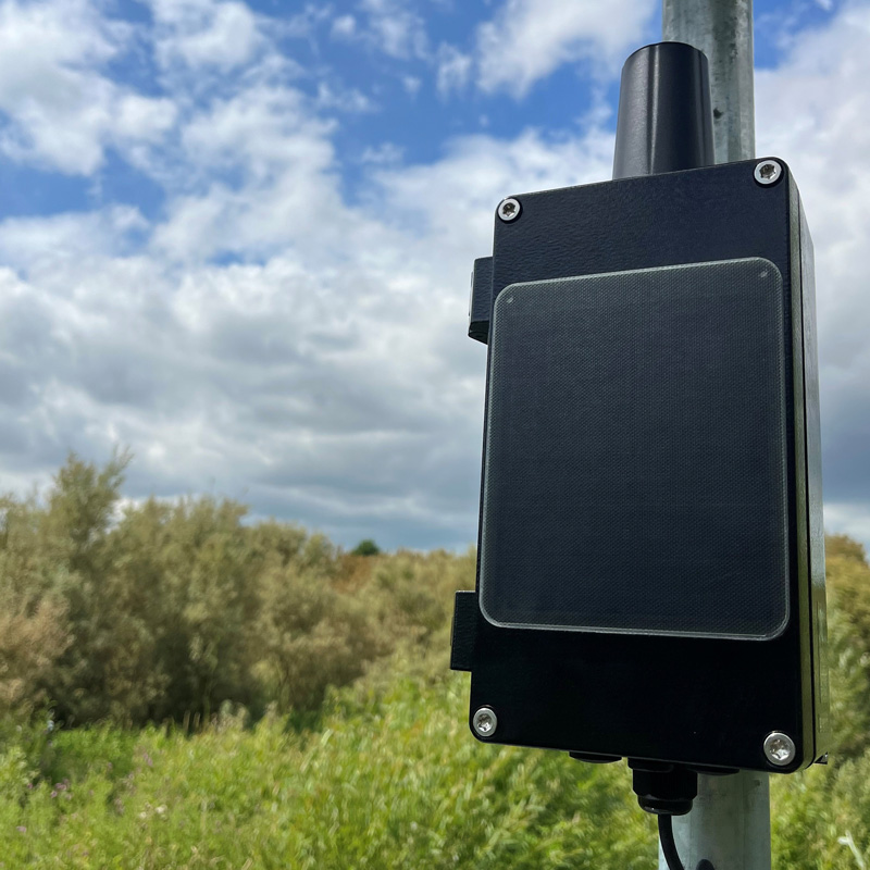 Van Walt About Image 2