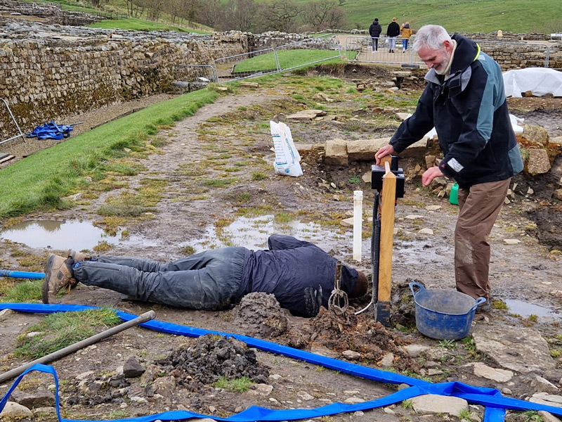 Van Walt About Image 3