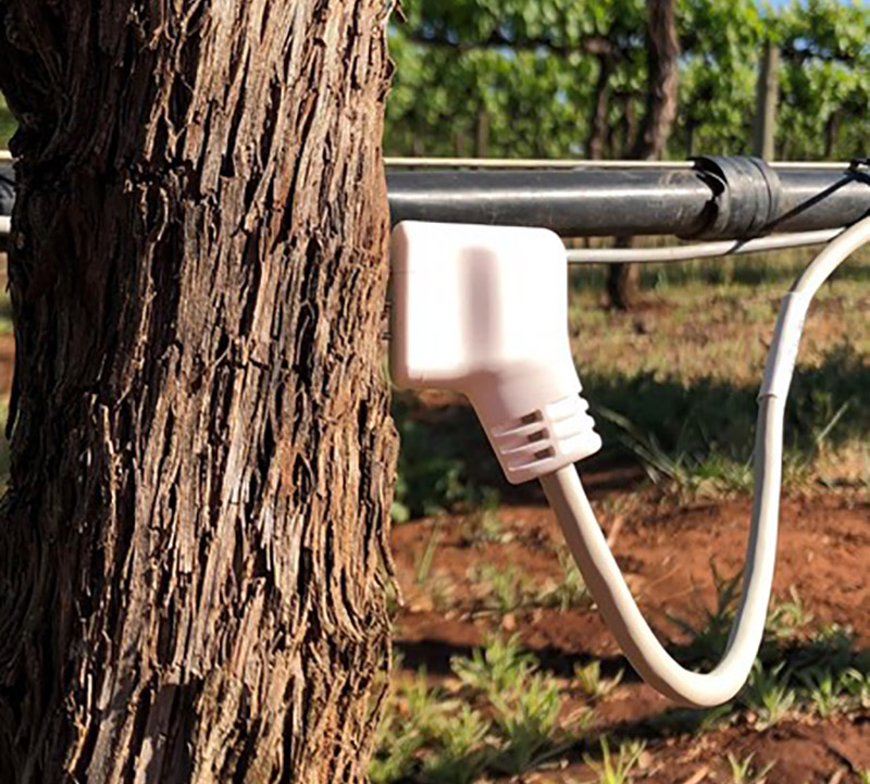 Sap Flow Sensor Monitors sap flow Plant welfare