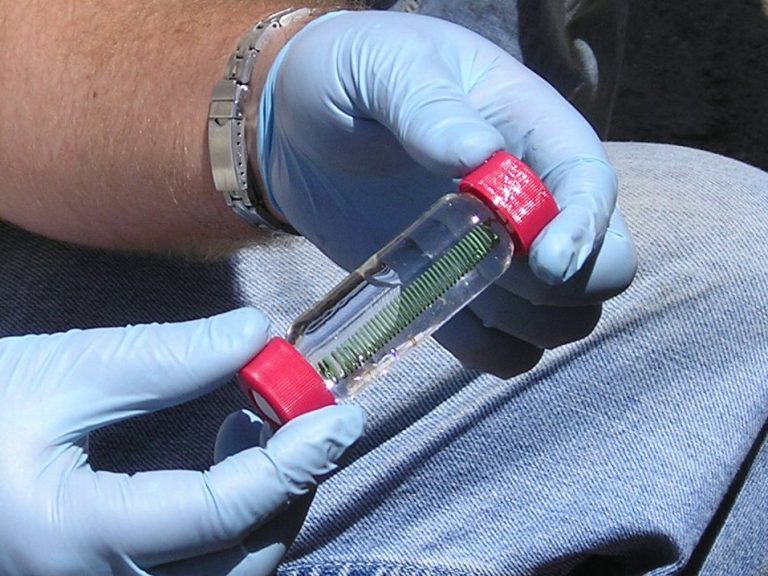 Passive Sampling the grab method Van Walt News