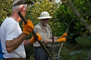 Window Sampling Explained - Van Walt News