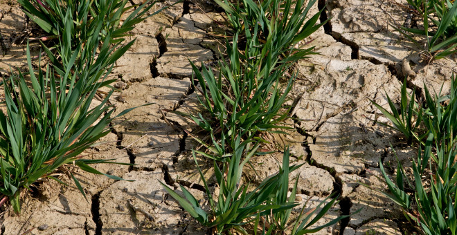 British Society of Soil Science